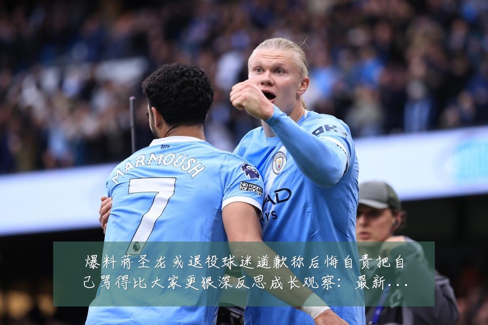 爆料蒋圣龙或退役球迷道歉称后悔自责把自己骂得比大家更狠深反思成长观察：最新赛事动态与深度分析